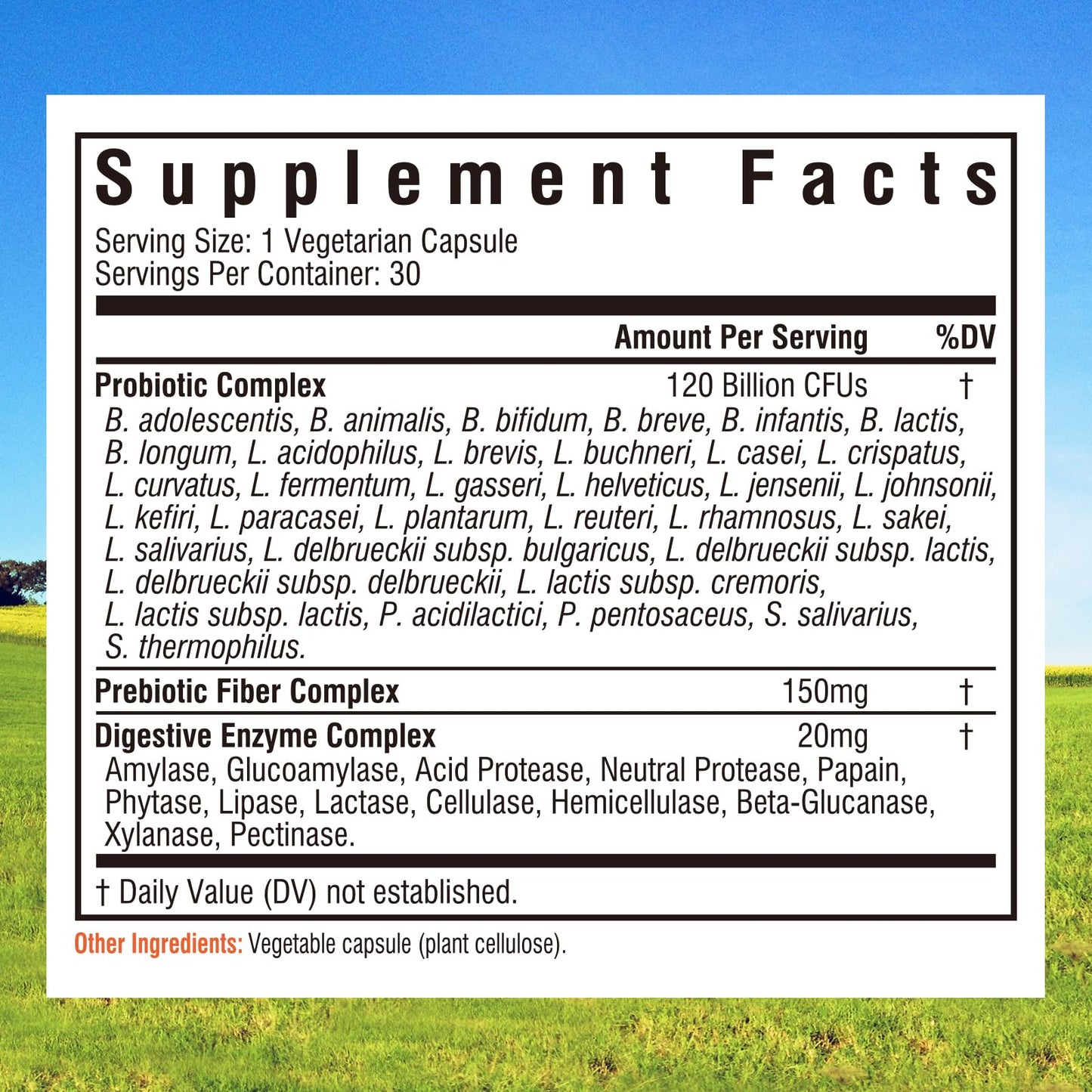 Innate Vitality Probiotics 120B CFUs – 34 Strains, Delayed Release, Shelf Stable