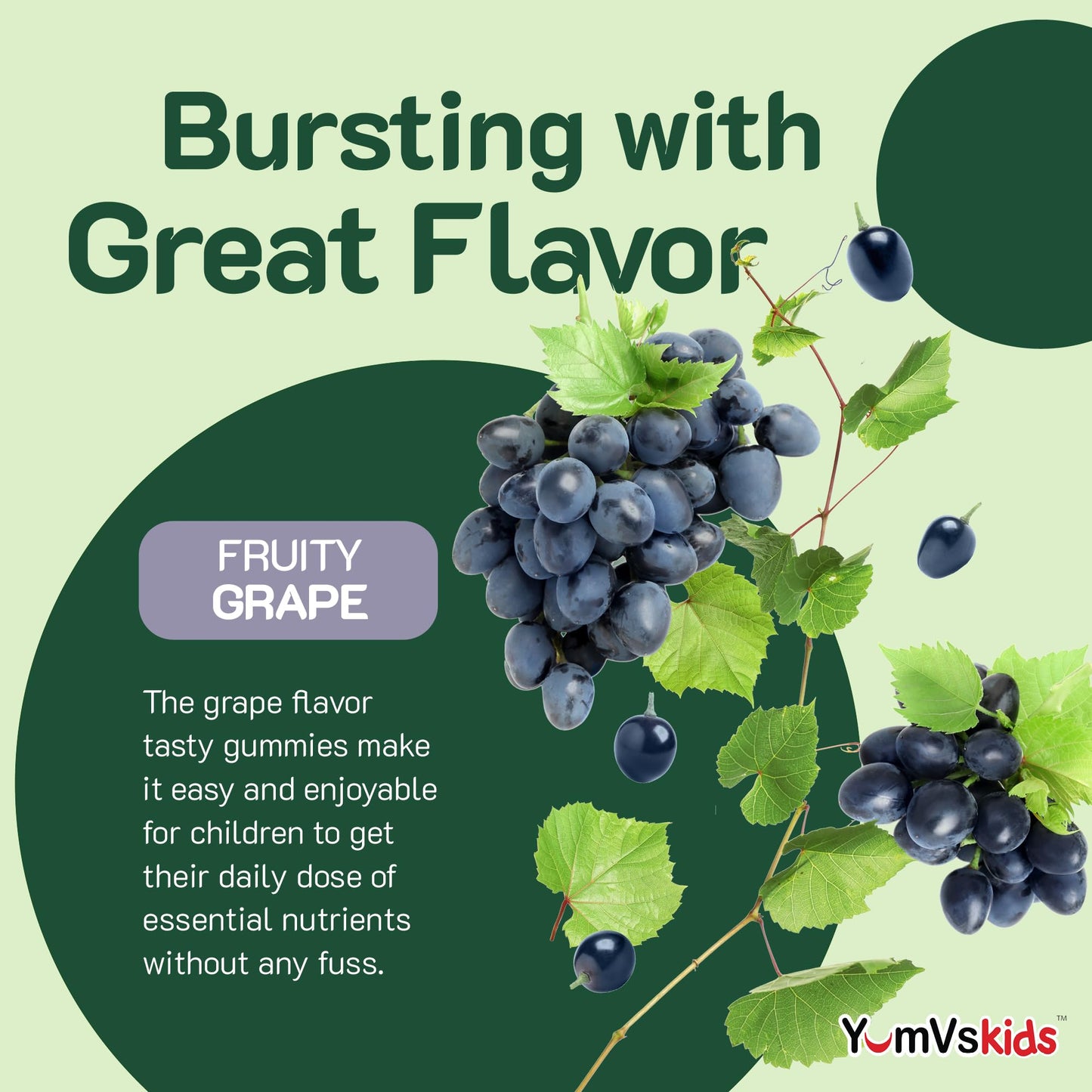 Iron Supplement for Kids – 5 mg Iron Gummies with Vitamin C | Grape Flavor