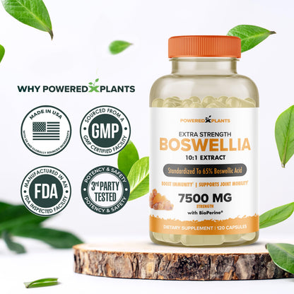 Boswellia Serrata Extract Joint Support – Powered by Plants | 65% Boswellic Acids + BioPerine | 120 Vegan Capsules