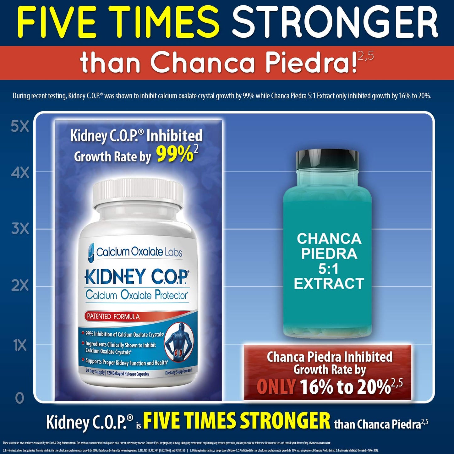 KIDNEY C.O.P. Calcium Oxalate Protector 120 Capsules — Kidney Stone Support (6 Pack)