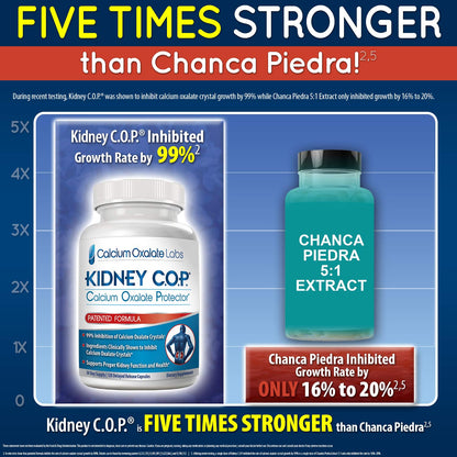 KIDNEY C.O.P. Calcium Oxalate Protector 120 Capsules — Kidney Stone Support (6 Pack)