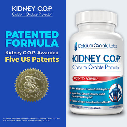 KIDNEY C.O.P. Calcium Oxalate Protector 120 Capsules — Kidney Stone Support (6 Pack)