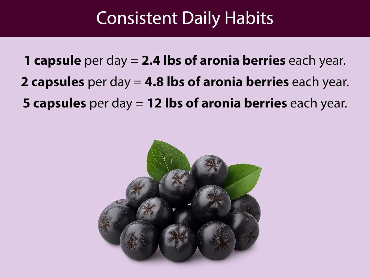 KOYAH Organic Aronia Berry Capsules | Freeze-Dried Whole-Berry 600 mg | Vegan, Gluten-Free, Non-GMO | 60 Caps