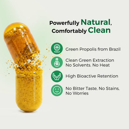 LABO Nutrition Brazilian Green Propolis Ultimate – 28 mg Artepillin C, 20 mg Flavonoids, 60 Veg Caps (three-pack)