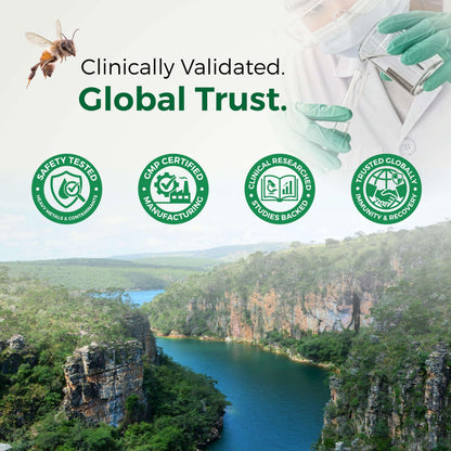 LABO Nutrition Brazilian Green Propolis Ultimate – 28 mg Artepillin C, 20 mg Flavonoids, 60 Veg Caps (three-pack)