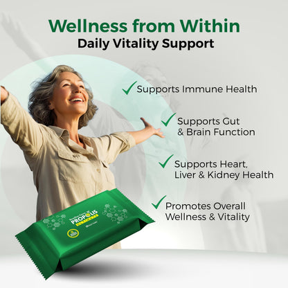 LABO Nutrition Brazilian Green Propolis Ultimate – 28 mg Artepillin C, 20 mg Flavonoids, 60 Veg Caps (three-pack)