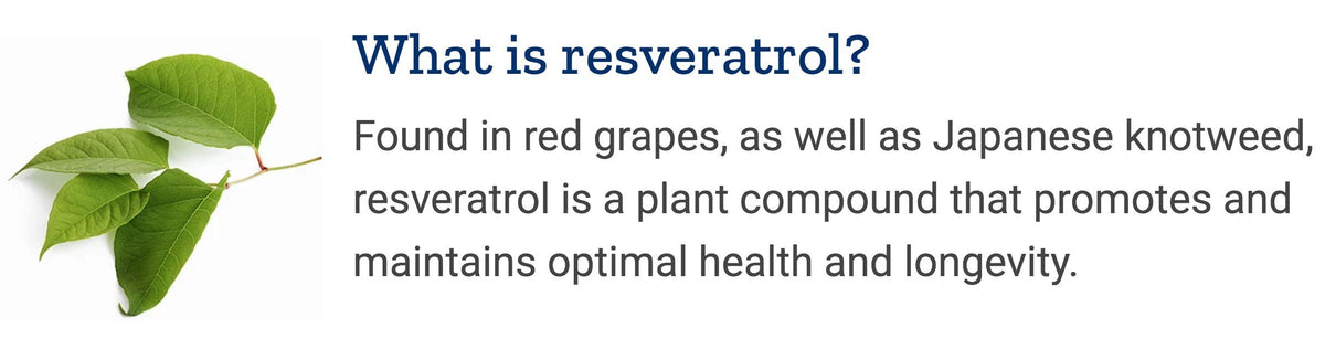 Life Extension Optimized Resveratrol – 90 كبسولة نباتية (عبوتان)