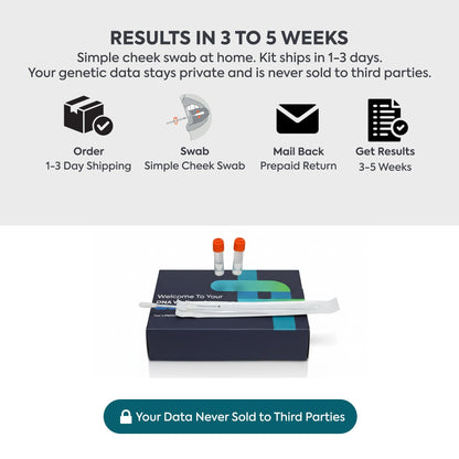 LifeDNA 13 Methylation Genes Test – Complete Wellness Analysis & 135+ Insights
