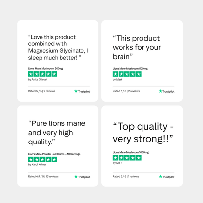Lion's Mane Powder - 60 Grams - 30 Servings