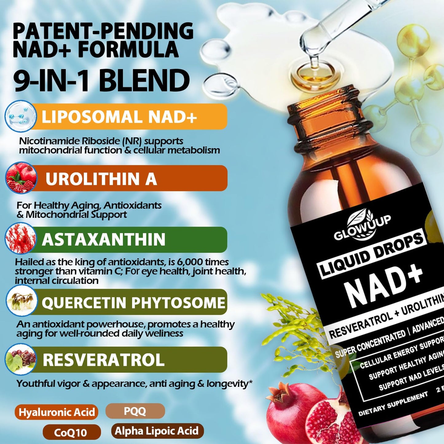 NAD+ Liquid Drops with Urolithin A – Extra Strength Liposomal NAD Supplement for Women & Men | CoQ10, Resveratrol, Alpha Lipoic Acid & Astaxanthin