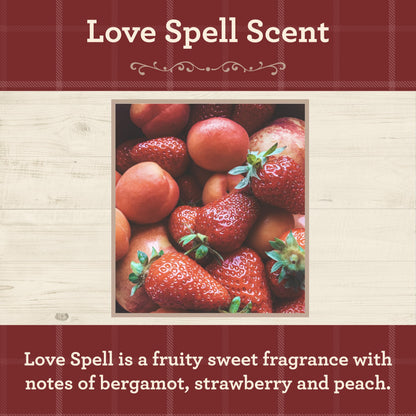 Our Own Candle Company Lovespell Scented Diffuser Oil 2oz - Premium Grade