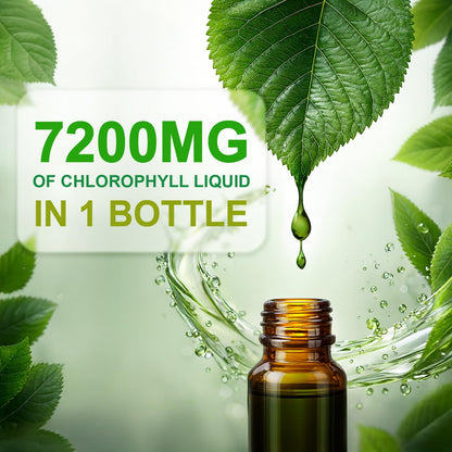 LOVITA Chlorophyll Liquid Drops – 120 mg/mL, Mint Flavor, 60 Servings