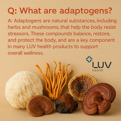 LUV health Flow Drops® – Energy & Focus with Adaptogenic Mushrooms | Vegan, Made in USA | 90 Servings