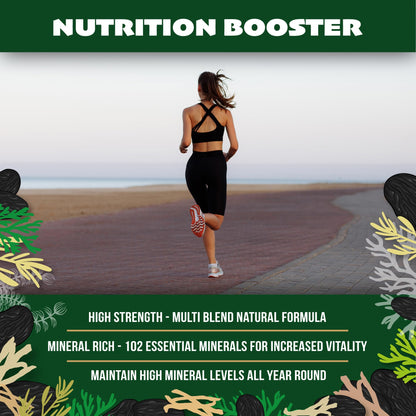 Sea Moss All-in-One Capsules with Black Seed, Turmeric & Ashwagandha