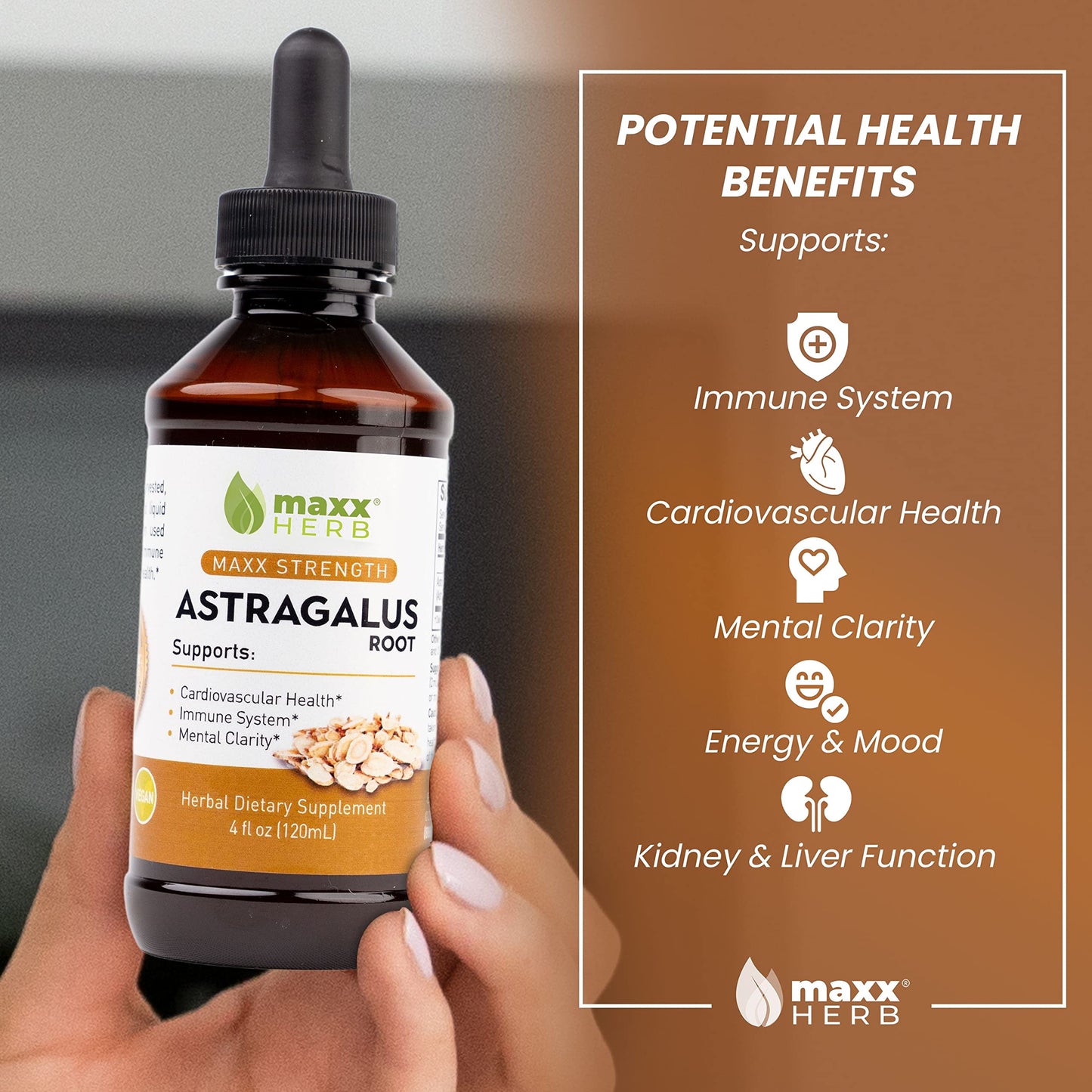 Maxx Herb Astragalus Root Extract – Max Strength Liquid Tincture for Immune Support & Mental Clarity – 4 Bottles, 4 Oz Each (240 Servings)