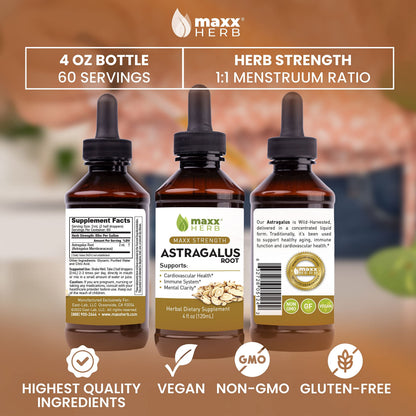 Maxx Herb Astragalus Root Extract – Max Strength Liquid Tincture for Immune Support & Mental Clarity – 4 Bottles, 4 Oz Each (240 Servings)