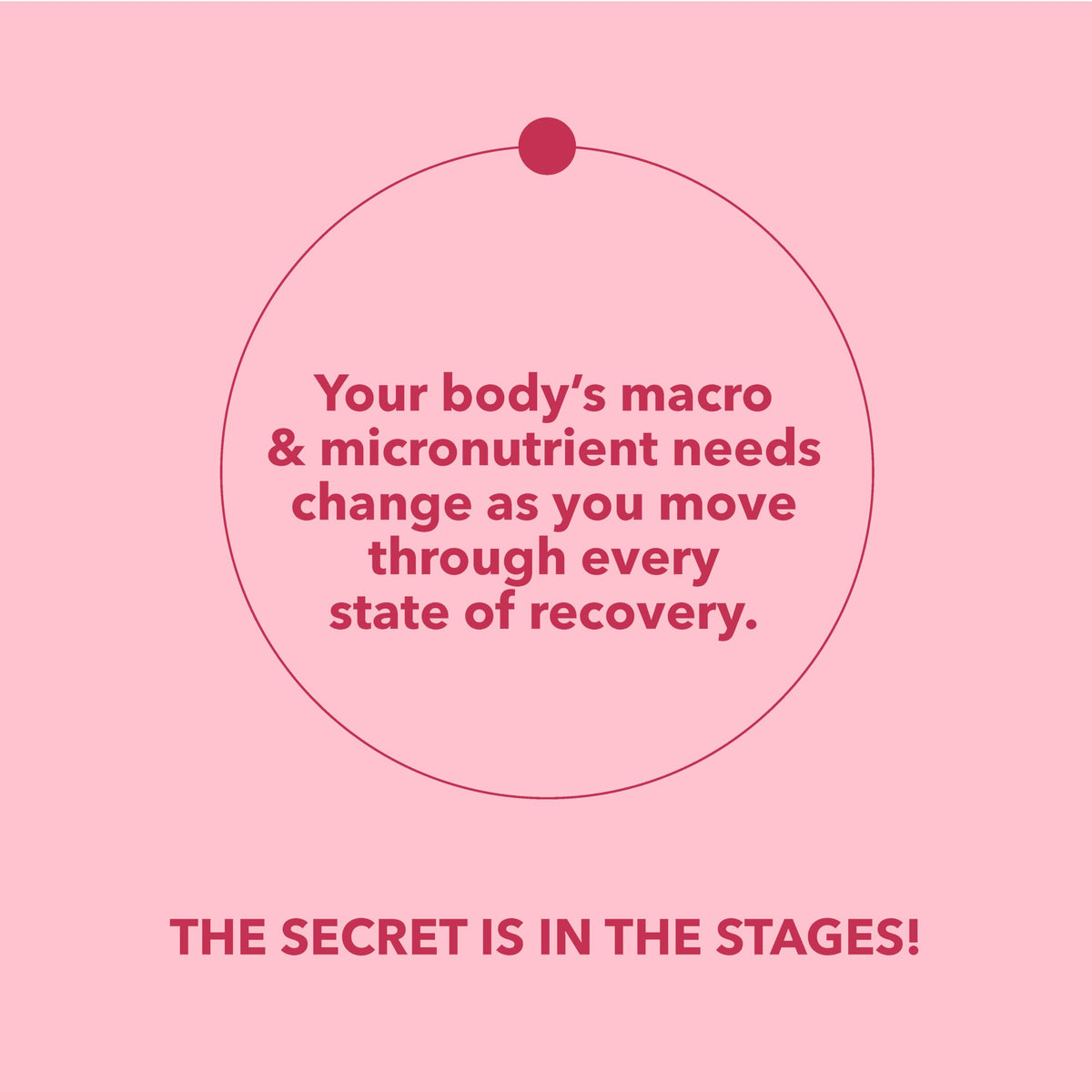 MI NUEVA SILUETA Stage 2 Protein with Omegas – 25g per Serving (Vanilla)