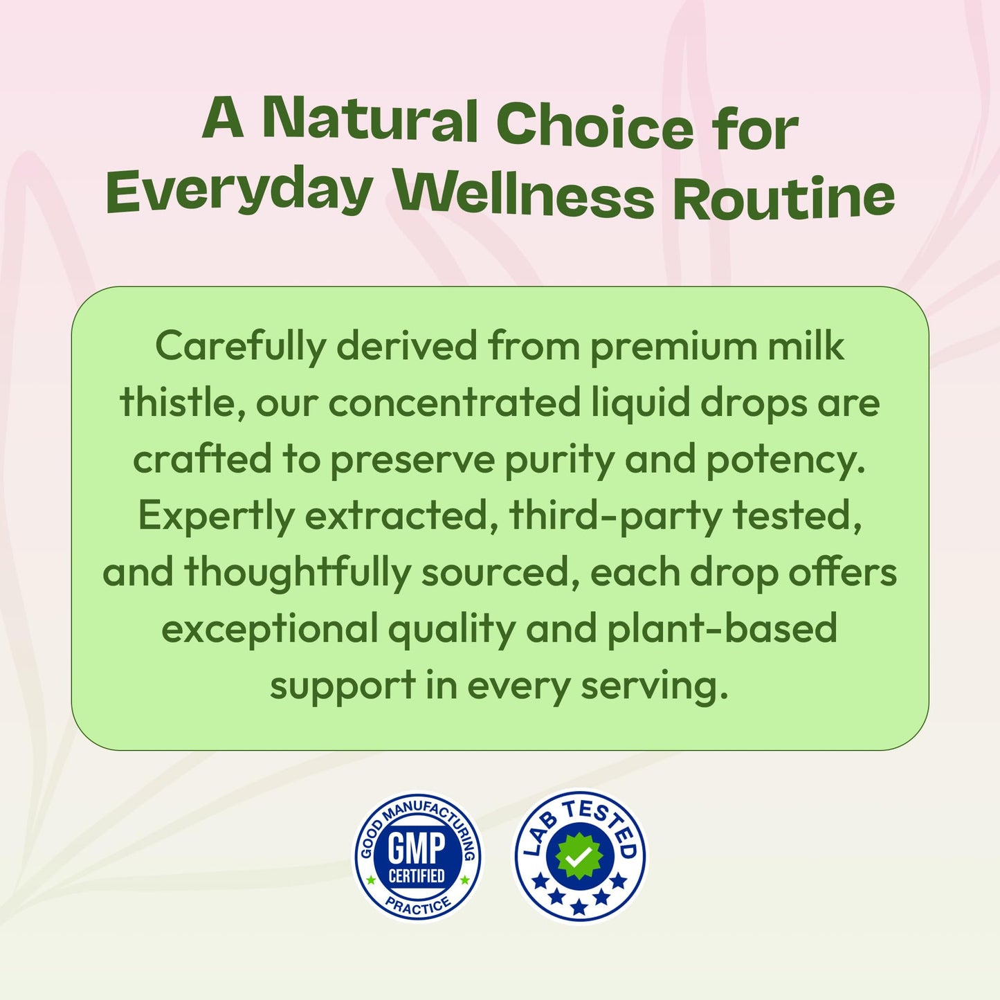 Milk Thistle Drops with 80% Silymarin Flavonoids – Vegan, Non-GMO, Fast-Absorbing – Mixed Berry, 60 mL