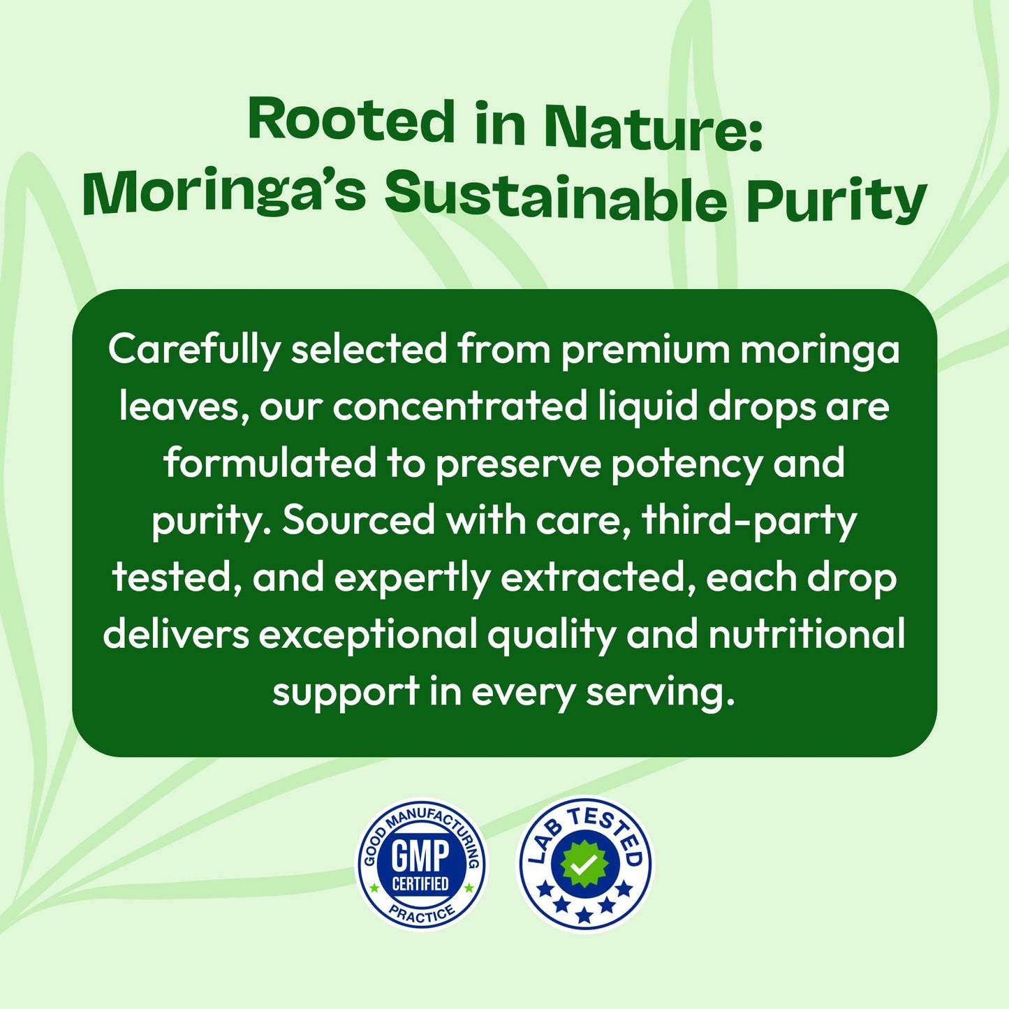 Moringa Liquid Drops – Vegan, Gluten Free (60 mL) – Mixed Berry