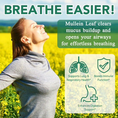 Mullein Gummies for Lungs | 2000mg Mullein Leaf Extract | Lung Support & Immune Health | 60 pcs