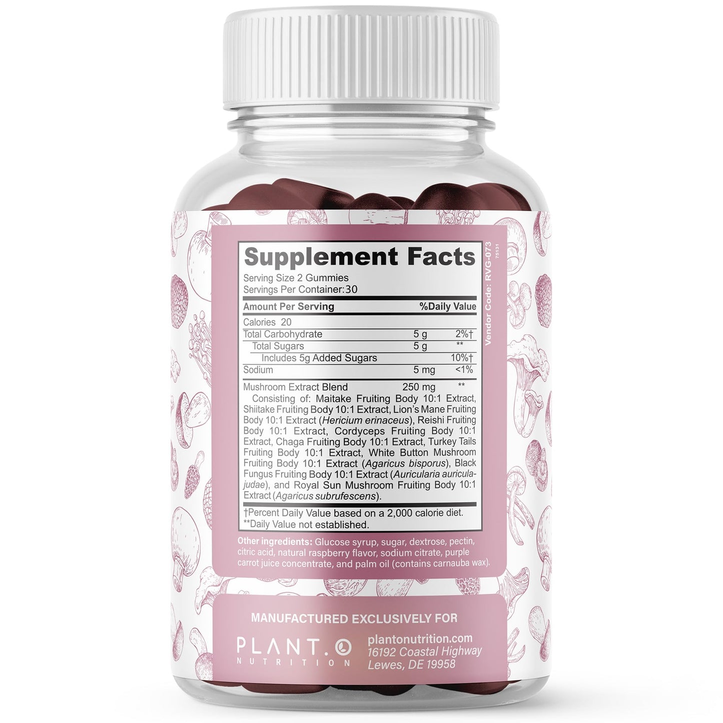 Mushroom Gummies Premium – 10-Mushroom Complex (Lion's Mane & Reishi) | 60 Chews