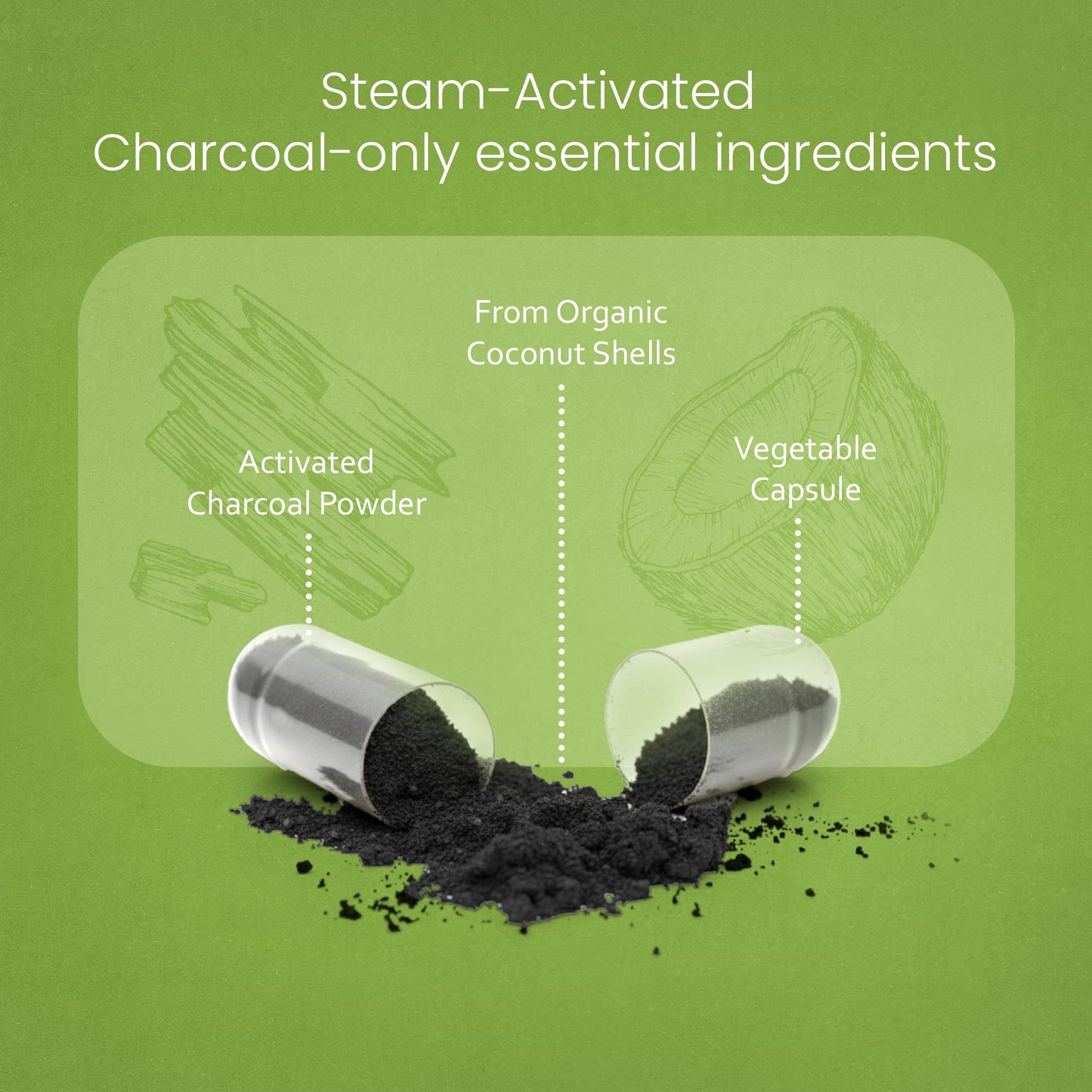 NaturaLife Labs Activated Charcoal 1200 mg – 100 Veg Capsules | Non-GMO, Gluten-Free, Vegan