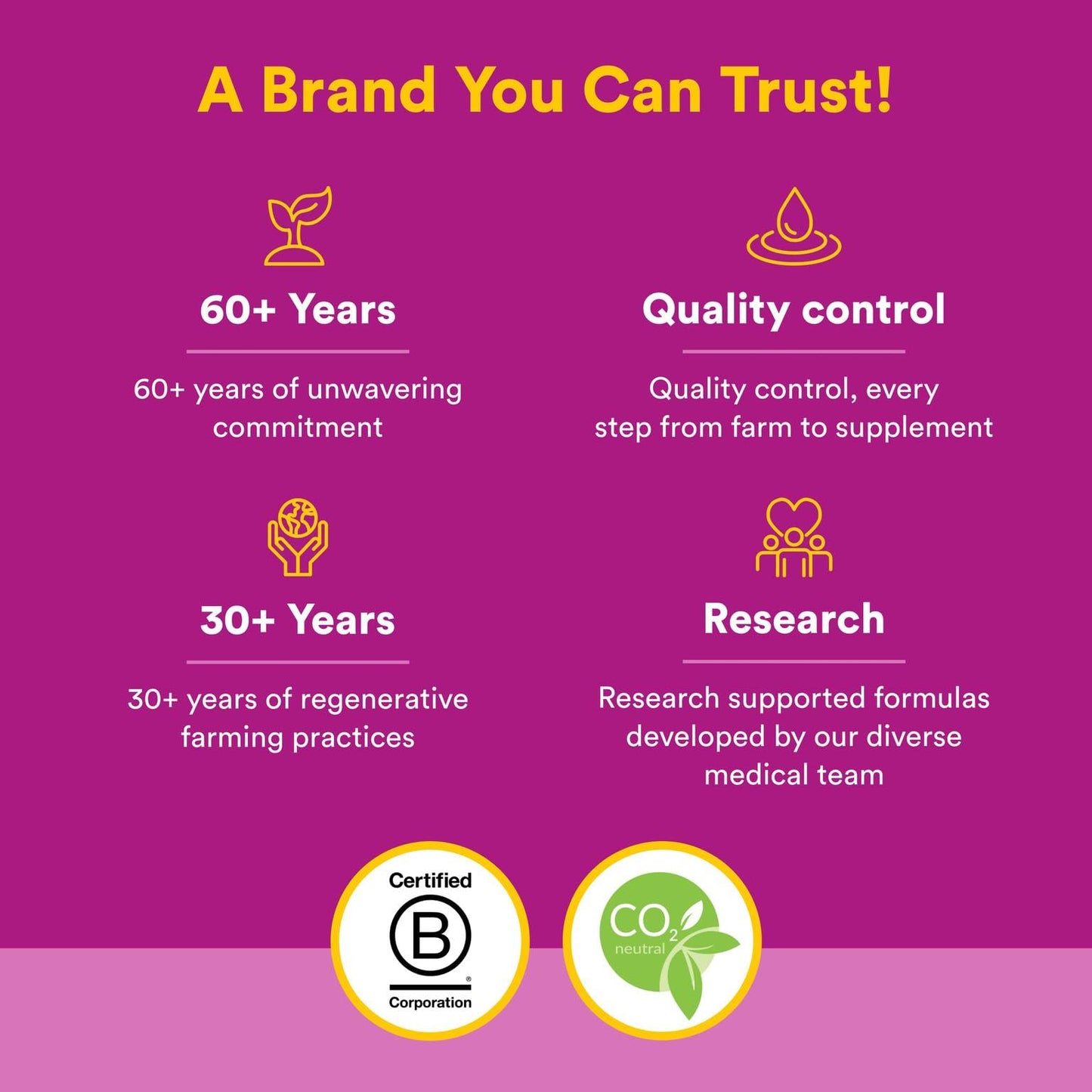 Natural Factors Vitamin B12 Methylcobalamin 1000 mcg – Chewable, Energy & Immune Support
