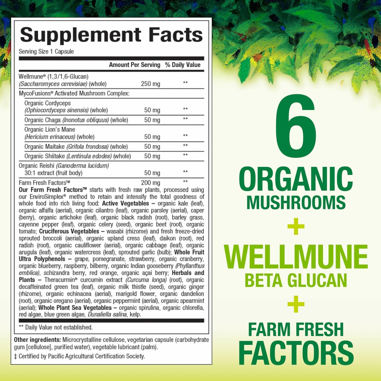 Natural Factors Whole Earth & Sea Super Mushroom - Organic Mushroom Supplement for Brain & Immune Health - 30 Vegetarian Capsules