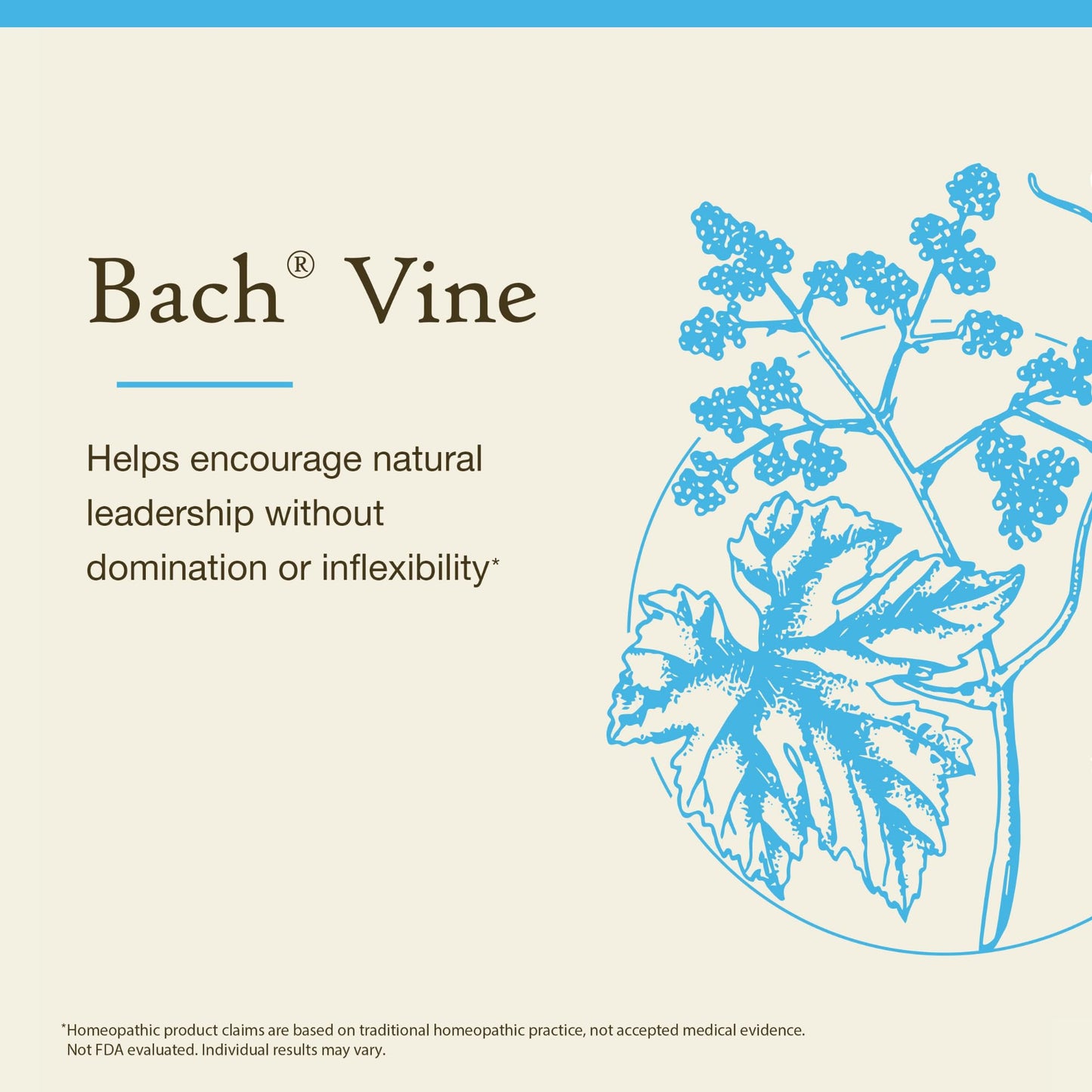 Bach Vine Flower Remedy (Non-Alcohol) - Motivate Not Dominate | Emotional Balance | 10mL Dropper | Vegan, Gluten Free, Sugar Free