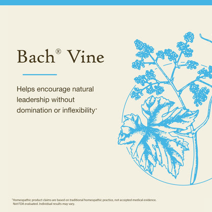 Bach Vine Flower Remedy (Non-Alcohol) - Motivate Not Dominate | Emotional Balance | 10mL Dropper | Vegan, Gluten Free, Sugar Free
