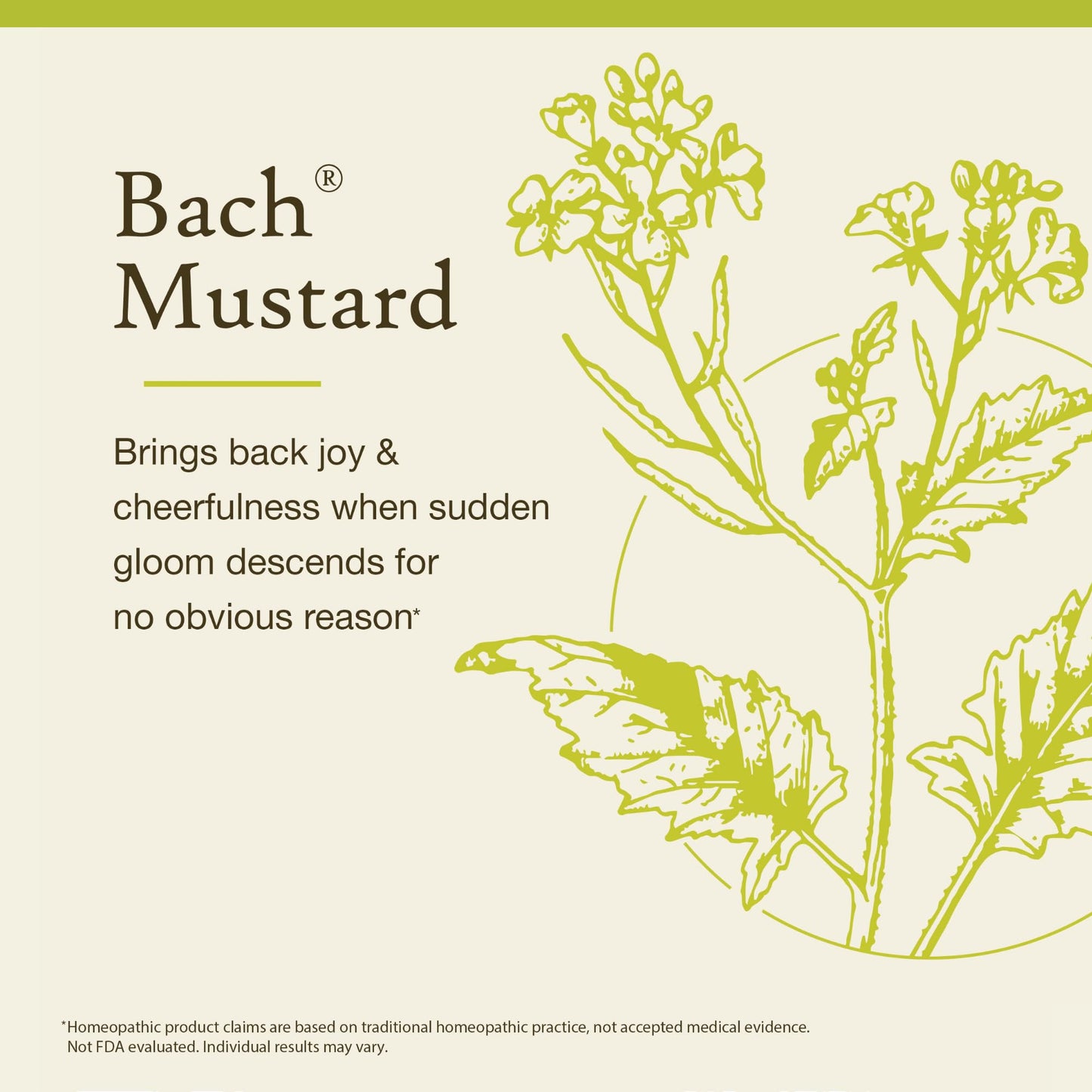 Bach Flower Remedies Mustard – Be Joyful (20mL) | Natural Emotional Balance