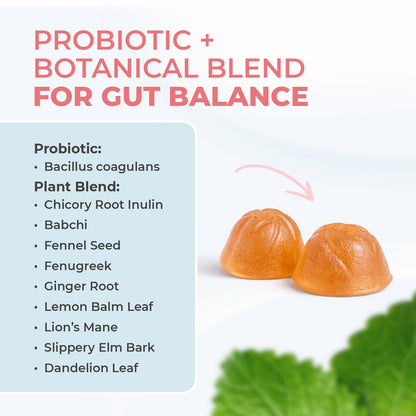Nature's NutriWave PrimeBiome Probiotic Gummies – Plant-Based, Non-GMO, 30 Gummies, 6-Month Supply | GMP Certified