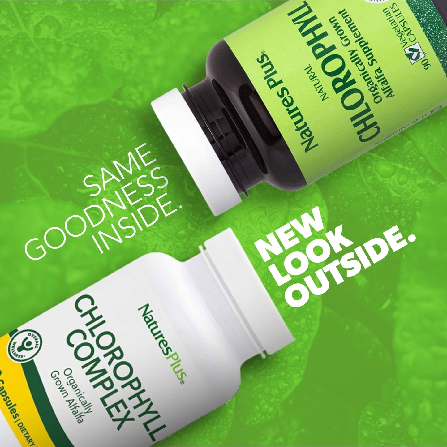 Natures Plus Chlorophyll Complex - 90 Capsules, 600 mg Organic Alfalfa - Immune Support & Energy - Gluten Free