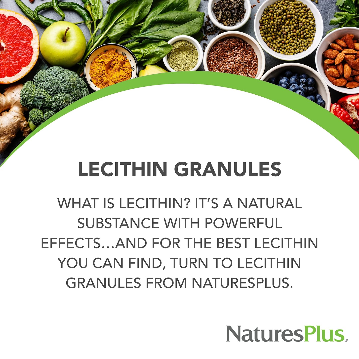 Natures Plus Lecithin Granules 12 oz – 95% Soy Phosphatides, Oil-Free, Vegetarian, Gluten-Free