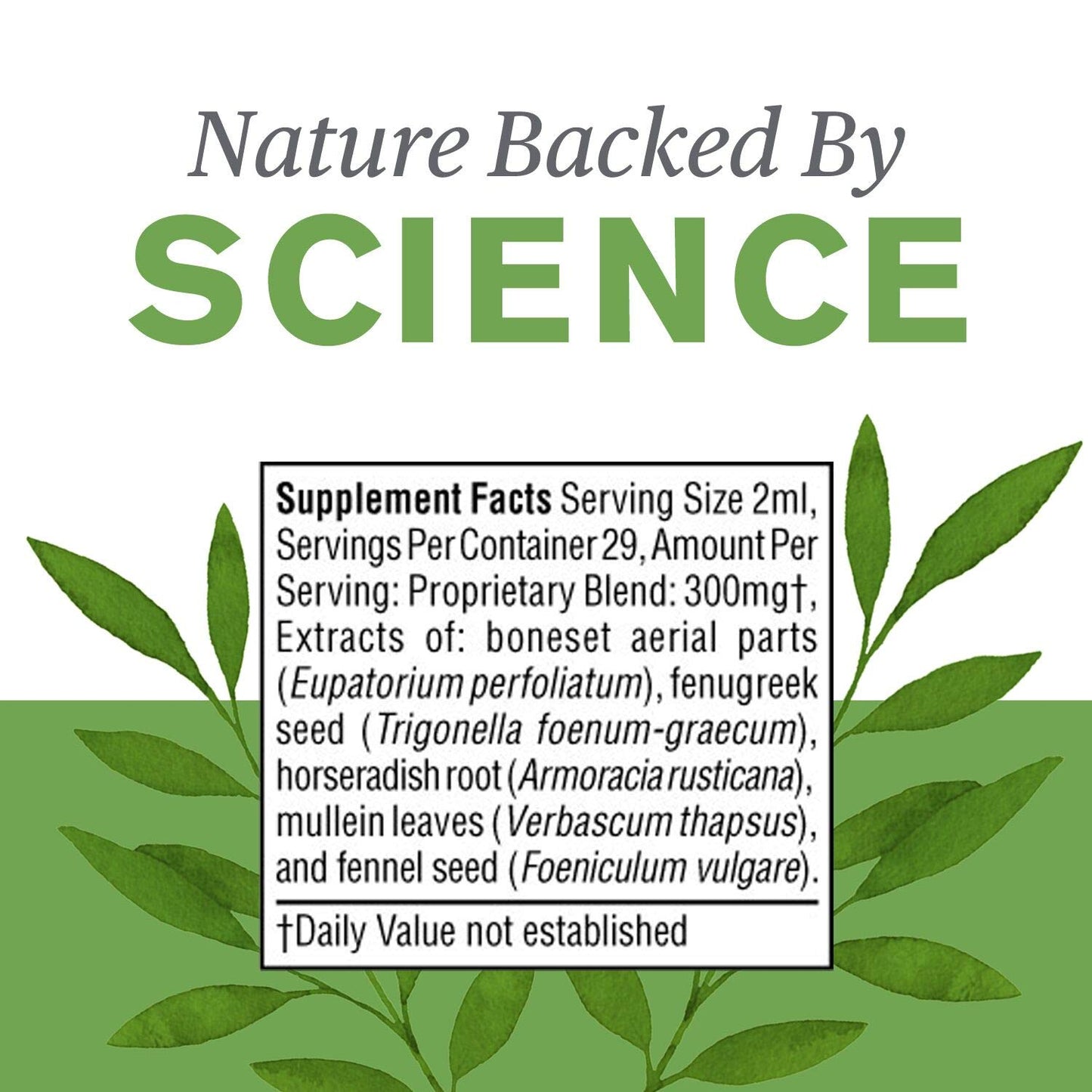 Nature's Sunshine Seasonal Allergy (ALJ Liquid) 2 fl oz – Herbal Respiratory Support