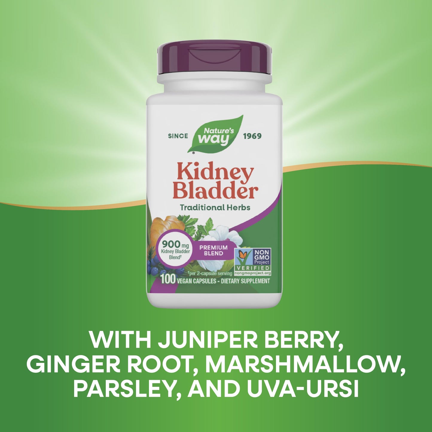 Nature's Way Kidney Bladder Premium Blend, Traditional Herbs Supplement, 900 mg per 2-Capsule Serving, Non-GMO Project Verified, Vegan, 100 Capsules (Packaging May Vary)