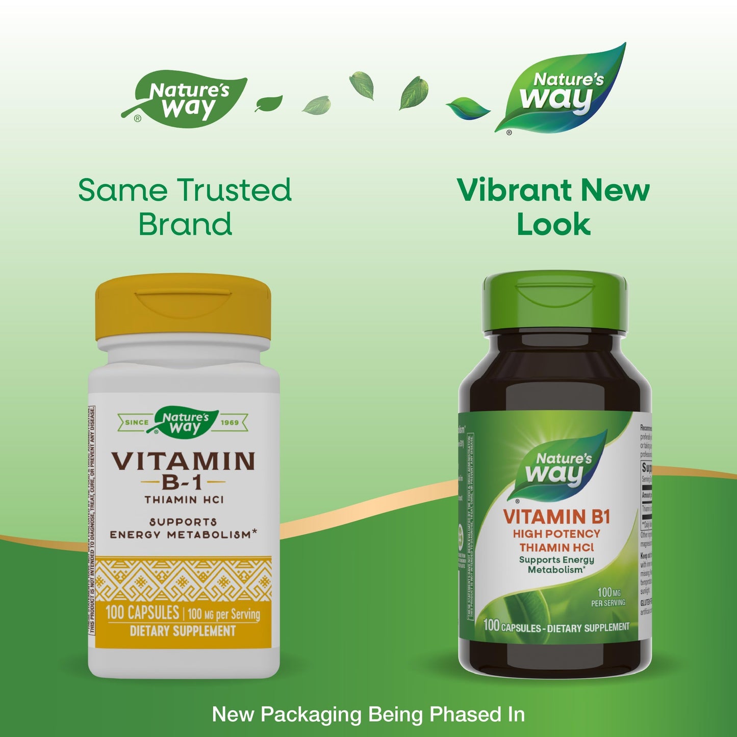 Nature's Way Vitamin B1 100 mg Thiamin HCl – High Potency, Gluten Free, 100 Caps (Packaging May Vary)