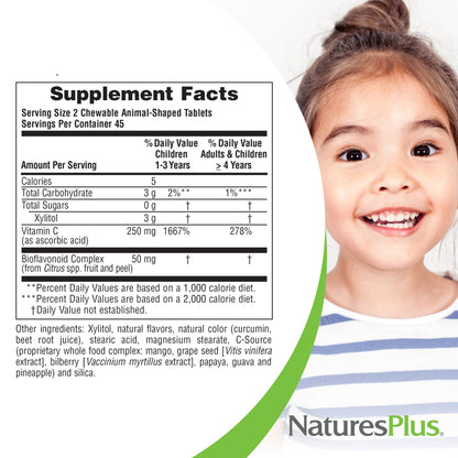 NaturesPlus Animal Parade Sugar-Free Vitamin C for Kids – 90 Chewables (2-Pack), Orange Flavor