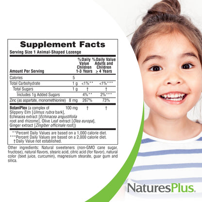 NaturesPlus Animal Parade KidZinc Tangerine – 90 Lozenges | Organic Chelated Zinc, Vegan