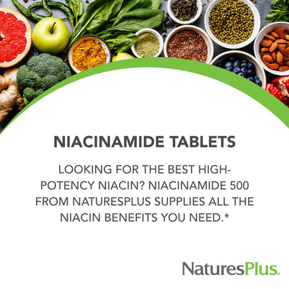 NaturesPlus Niacinamide 500 mg - 90 Tablets | Vitamin B3 Supplement (Vegetarian, Gluten Free)