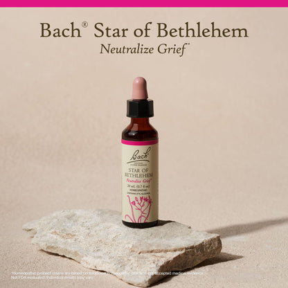 Nelson Bach Original Flower Remedies Star of Bethlehem – Neutralize Grief | 0.7 Fl Oz (20 ml) Pack of 1