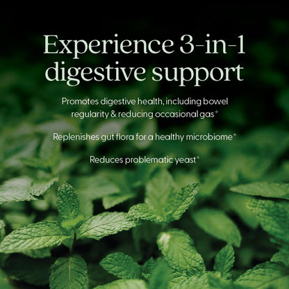 New Chapter Probiotic All-Flora 30 Ct – Advanced Digestion & Gut Health, Vegan, Non-GMO