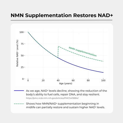 Daily NMN Longevity Supplement