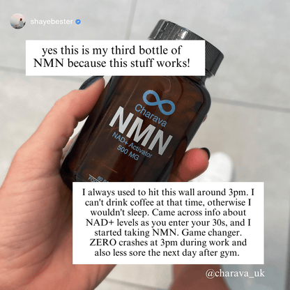Daily NMN Longevity Supplement