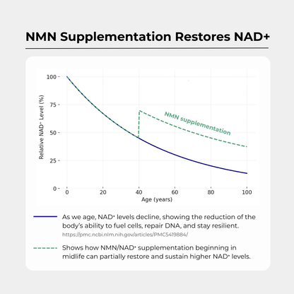 NMN+1200 (NMN, Resveratrol, Pterostilbene)