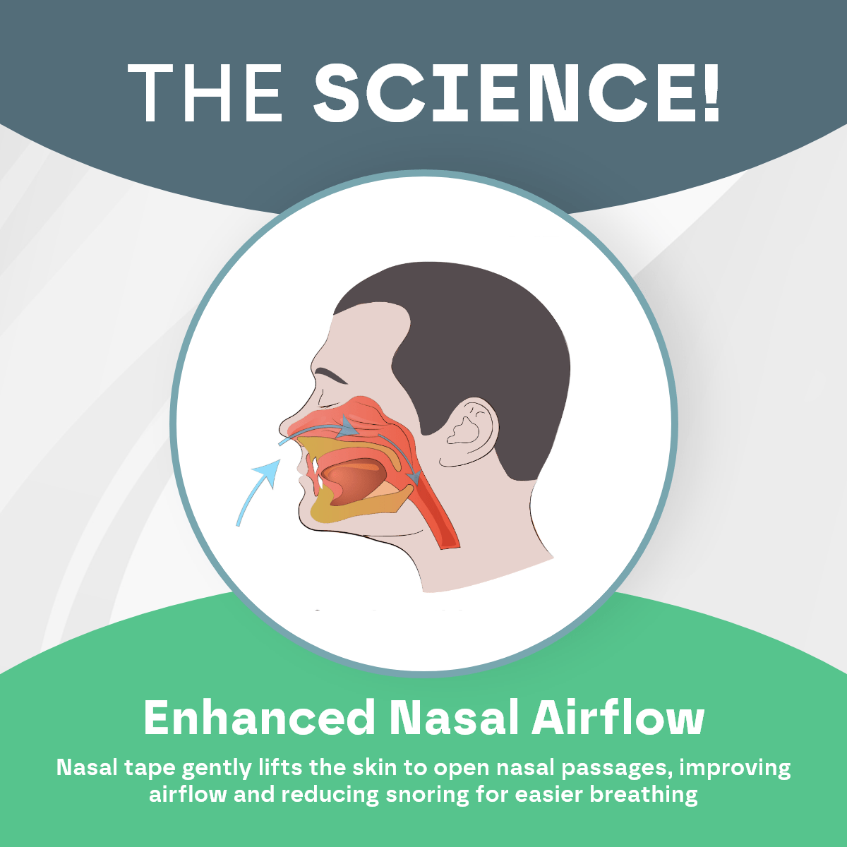 Nose Breathing Nasal Strips (30 Pack) - HealVia LimitedHealVia LimitedNose Breathing Nasal Strips (30 Pack)
