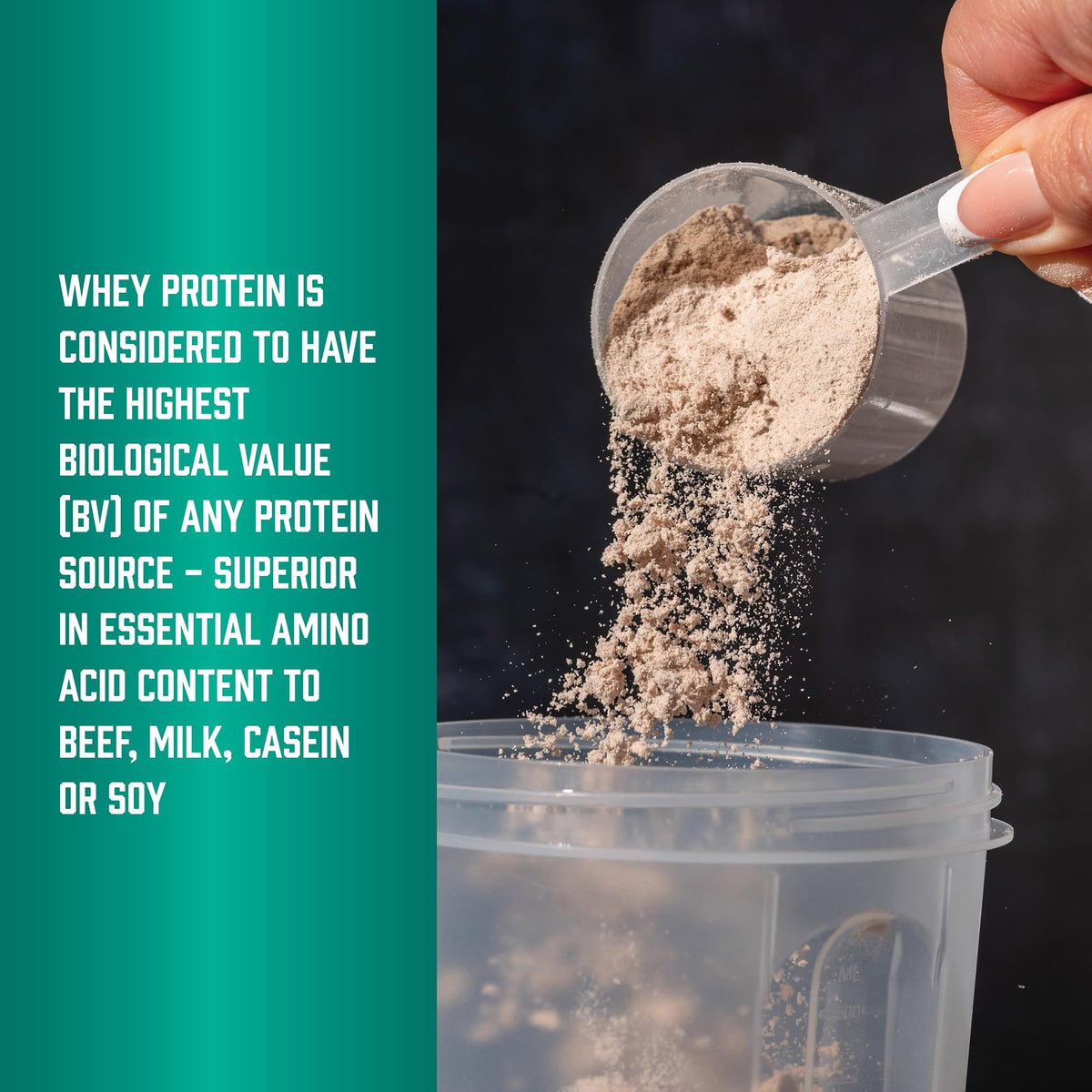 NOW Foods Whey Protein Isolate – 25 g Protein with BCAAs, Creamy Chocolate, 10 lb