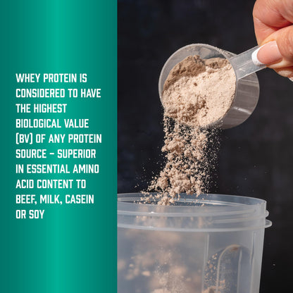 NOW Foods Whey Protein Isolate – 25 g Protein with BCAAs, Creamy Chocolate, 10 lb