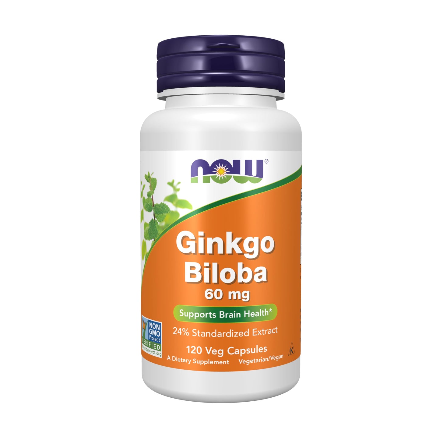NOW Foods Ginkgo Biloba 60 mg – 24% Standardized Extract, Non-GMO Project Verified, 120 Veg Capsules