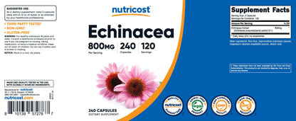 Nutricost Echinacea 800mg - 240 Vegetarian Capsules | Non-GMO, Gluten Free